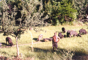 Click to see a larger version of this picture