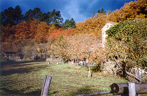 Click for a larger version